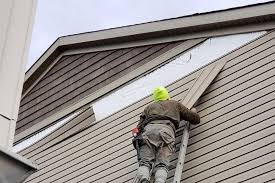 Best Siding for New Construction  in Moose Wilson Road, WY